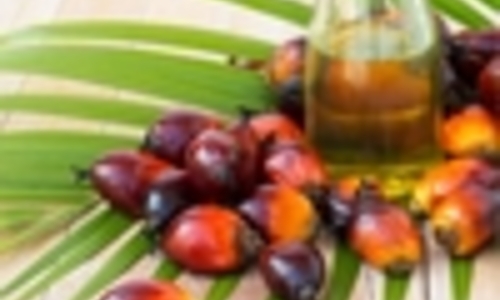 Palmoil