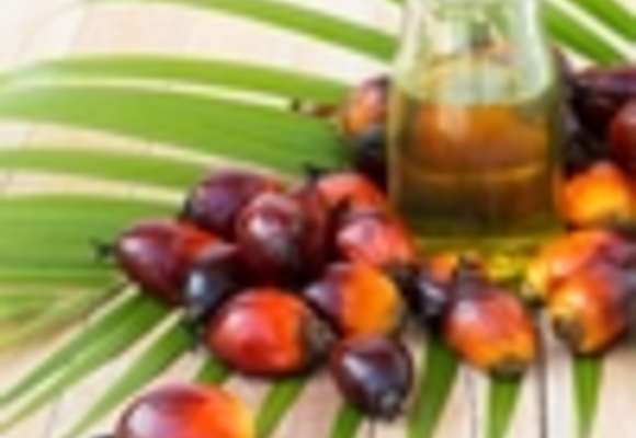 Palmoil